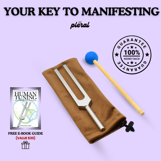 Chakra Sound Healing Fork